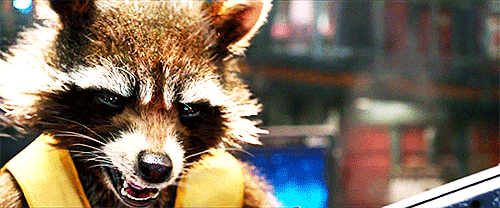Rocket Raccoon | THE HUNTERS تقرير | The Biggest Idiots In The Universe  Source