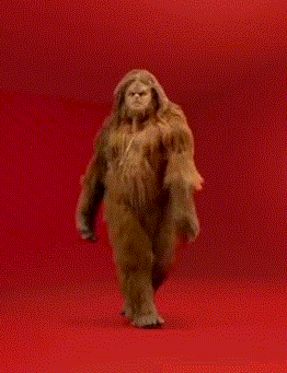 giphy-downsized.gif