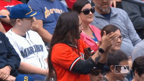 Celebrate Major League Baseball GIF by Baltimore Orioles