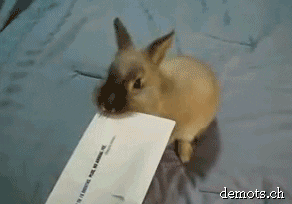 The letter opener in funny gifs