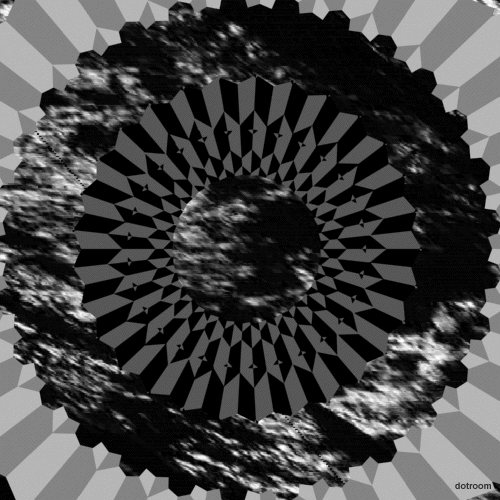 Black And White GIF Find & Share on GIPHY