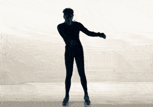 Rotoscope AI