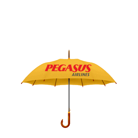 pegasus havayollari