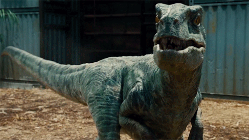Chris Pratt Velociraptor GIF - Find & Share on GIPHY