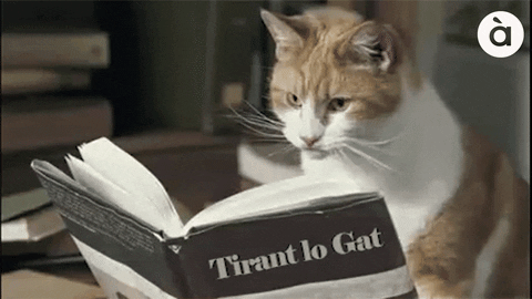 cat turning the pages of a book