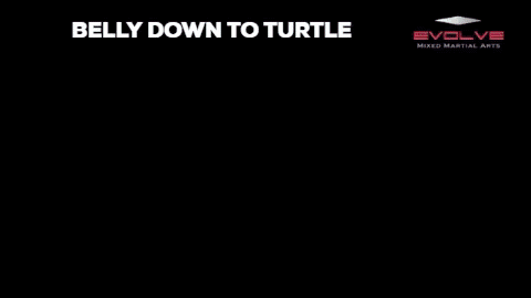 Belly down to turtle bjj drill