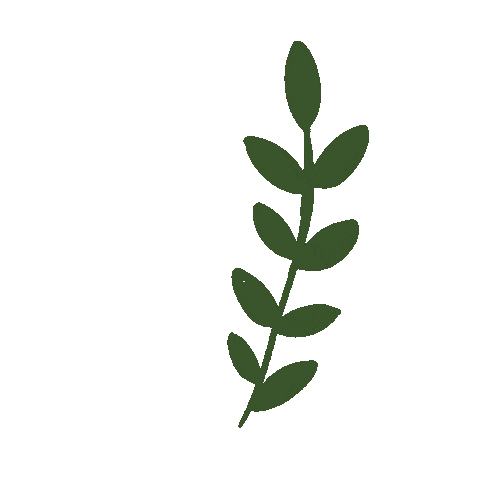 Leaf Daun  Sticker for iOS Android GIPHY
