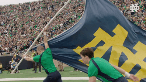 Celebrate Notre Dame GIF by Notre Dame Fighting Irish - Find & Share on