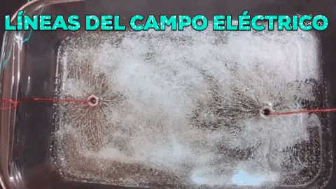 Lineas Del Campo Electrico GIF - Find & Share on GIPHY
