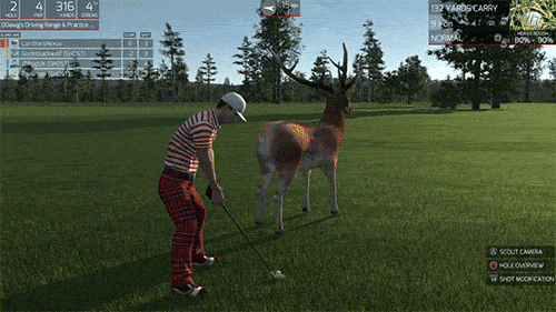 giphy.gif
