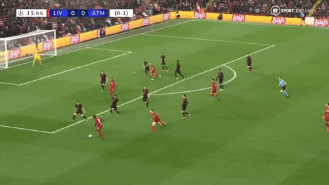 giphy.gif