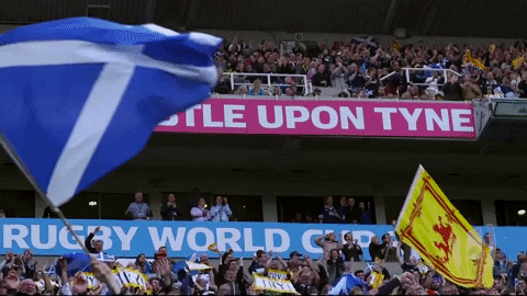 Scotland Rugby Sport GIF by Rugby World Cup