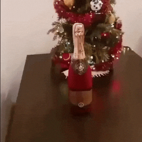 Someone enjoyed holidays very well in wow gifs