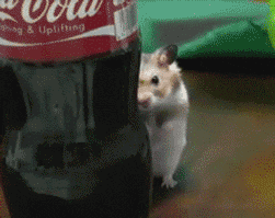 [Image: giphy.gif]