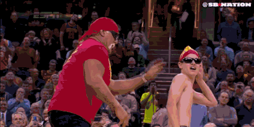 hulk hogan