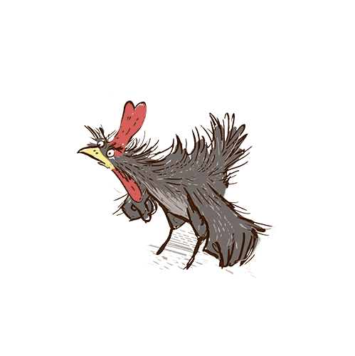 A chicken angry at the thought of having had to prove herself.