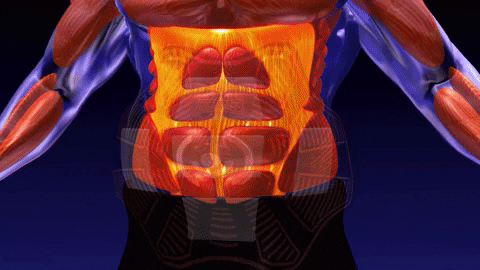Total Abs
