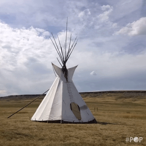 Montana Stereoscope GIF by GoPop - Find & Share on GIPHY