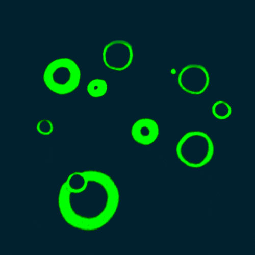 Animation Drawing GIF by Caitlin Burns Find & Share on GIPHY