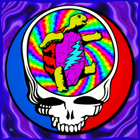STEAL YOUR FACE Giphy
