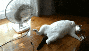 200_s.gif