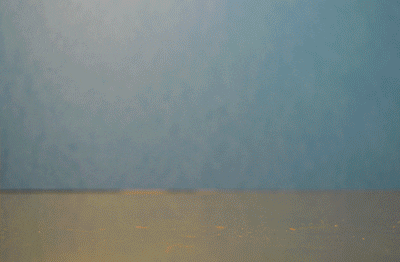 Stop-Motion Ducks GIF by Philippa Rice