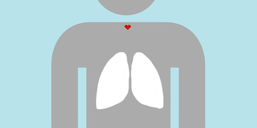 cannabinoids entering the lungs