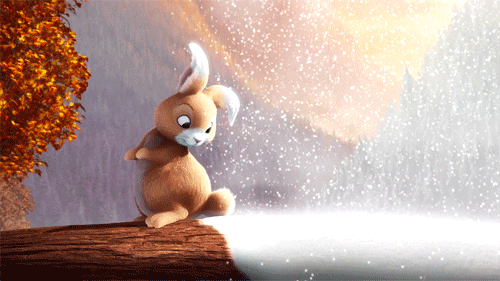 Bunny GIF - Find & Share on GIPHY