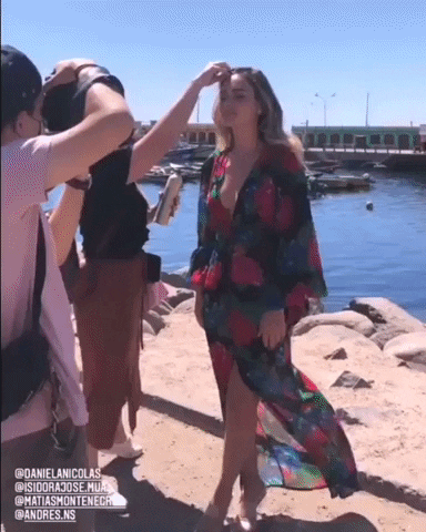 giphy.gif