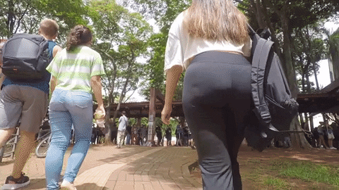 giphy.gif