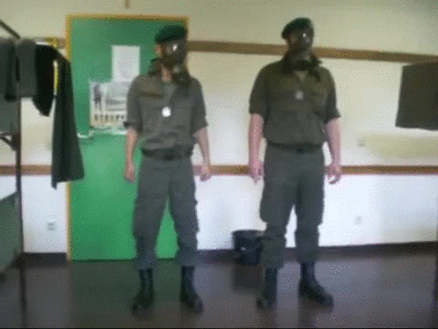 [Obrazek: giphy.gif]