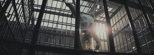 Leadership Lessons from Harley Quinn. GIF source: media.giphy.com