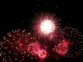 Fourth Of July Fireworks GIF - Find & Share on GIPHY