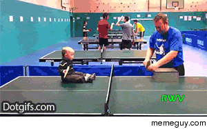 Ping Pong GIF - Find & Share on GIPHY
