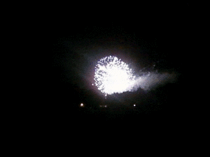 Explosion Firework GIF - Find & Share on GIPHY