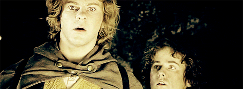 Resultado de imagen de pippin merry gif