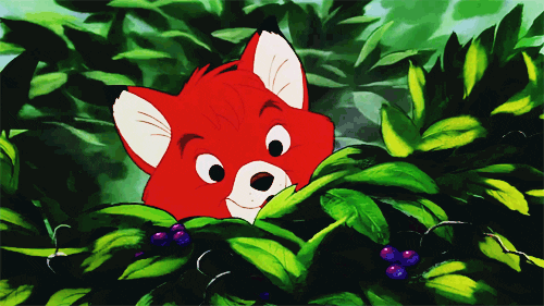 disney animated GIF