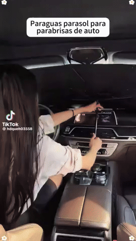 Uso del parasol paraguas para auto