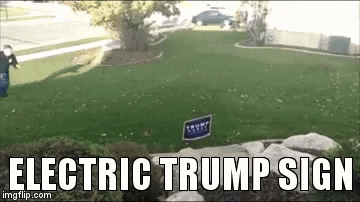 Electric Trump sign in funny gifs