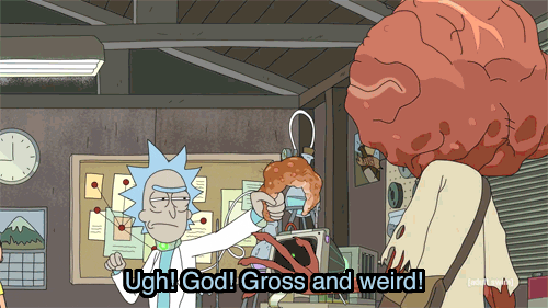 giphy.gif