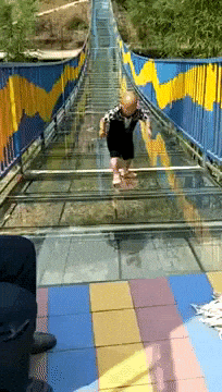 Go to galss bridge they said It will be fun they said in funny gifs