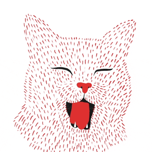 cat cat yawn