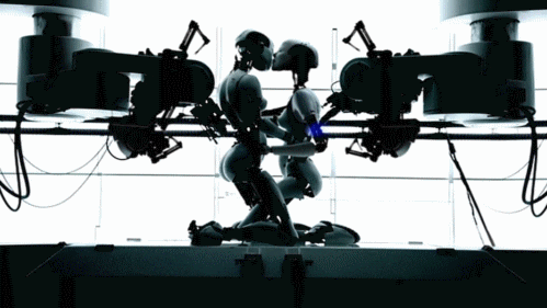 giphy.gif