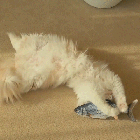 Fun Flappy Fish | Cat Toy