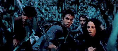film animated GIF