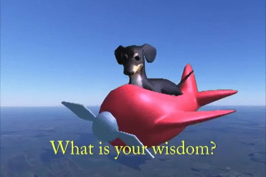 source.gif