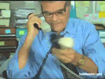  phone working busy tim and eric awesome show great job fred willard GIF