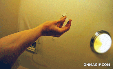 Pov Eyedrop GIF - Find & Share on GIPHY