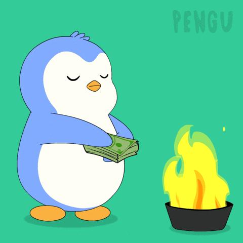 burning money