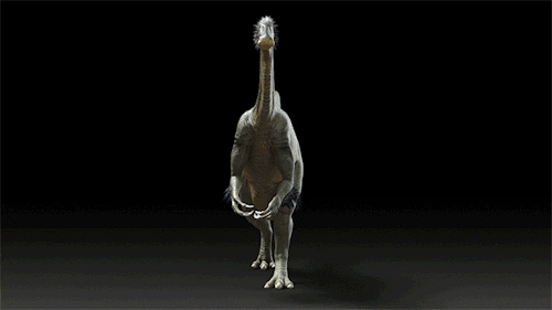 Mongolian Ostrich Dinosaur S Find And Share On Giphy